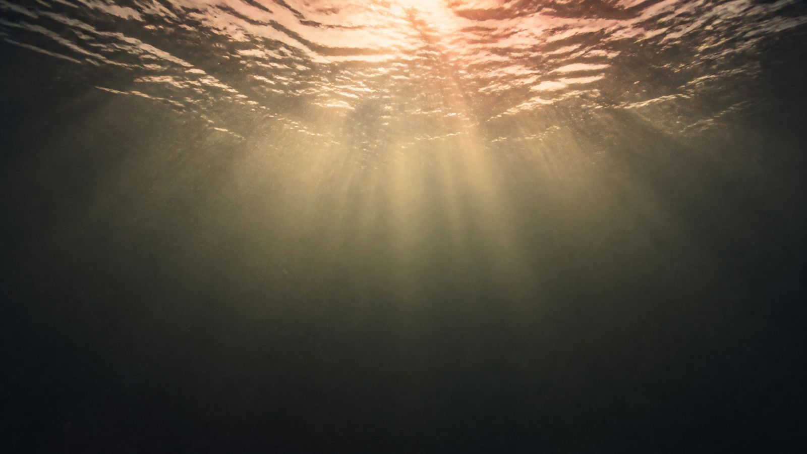 Vu depuis sous la surface : la lumière qui perce l'eau, et le noir en dessous